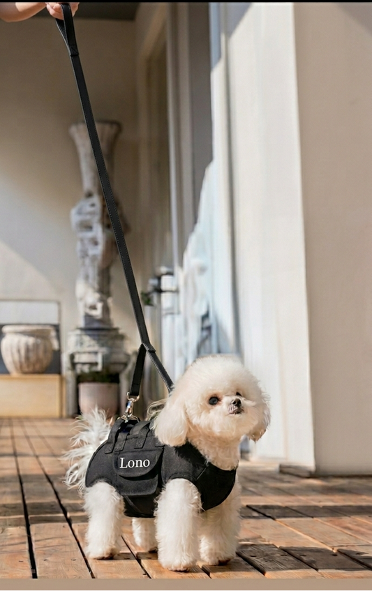 Lono Dog Vest